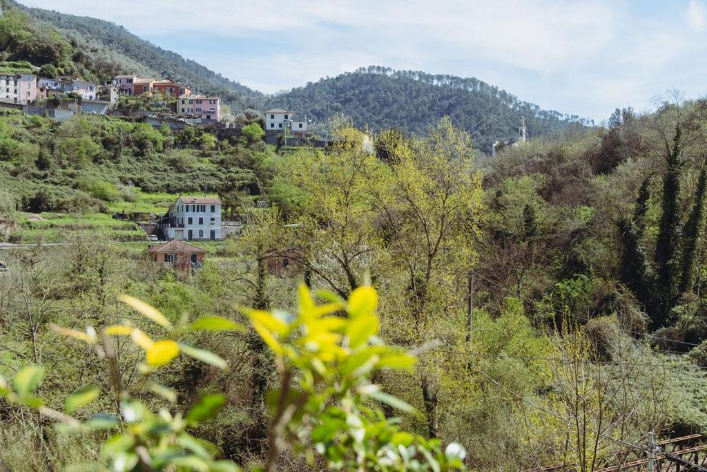 Graveglia Residenza Nemus Mare E Montagna 아파트 외부 사진